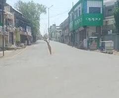 Nandurbar Corona Update | नंदुरबार ग्रीन झोनमध्येच राहण्यासाठी खबरदारी, पोलिसांकडून ड्रोनने सर्वत्र नजर