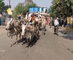 Lockdown | अहमदनगरमध्ये अडकलेले ऊसतोड कामगार गावाकडे रवाना; राज्य सरकारच्या निर्णयानं दिलासा