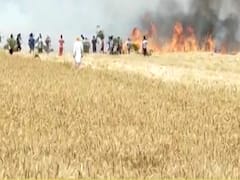 How farmers are struggling against Coronavirus? 