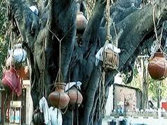 Chandigarh में अस्थि कलश को रखने के लिए लॉकर देने सामने आये NGO, एबीपी न्यूज की खबर का असर