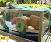 Box Kit For Corona Patient | कोरोनाग्रस्ताला सुरक्षित हलवण्यासाठी विशेष पेटी; नागपुरात पहिल्यांदा वापर