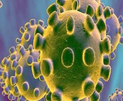 Markaz #Corona | तबलिगी आणि त्यांच्या संपर्कात आलेल्या 647 जणांना कोरोना, केंद्रीय मंत्रालयाची माहिती