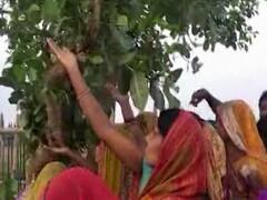 कोरोना: बिहार में अंधविश्वास ने तोड़ा लॉकडाउन, पेड़ का सड़ा पानी पीने के लिए उमड़ी भीड़