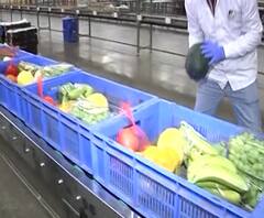 Nashik Vegetable Basket | नाशिकमध्ये 5 ते ८ किलोच्या भाजीपाल्याचं बास्केट, सह्याद्री फार्म कंपनीचा उपक्रम