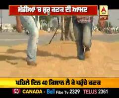 ਕੋਰੋਨਾ ਕਾਰਨ ਮੰਡੀਆ 'ਚ ਪੰਜਾਬ ਸਰਕਾਰ ਉਪਰਾਲੇ 