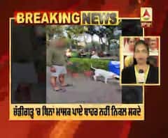Breaking :ਚੰਡੀਗੜ 'ਚ ਬਿਨਾਂ ਮਾਸਕ ਪਾਰਕ 'ਚ ਕੁੱਤਾ ਘੁੰਮਾਉਣ ਵਾਲੇ ਖਿਲਾਫ FIR