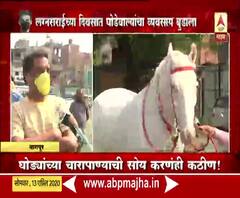 Maharashtra Lockdown | लग्नसराईच्या दिवसात घोडेवाल्यांचा व्यवसाय बुडाला; घोड्यांच्या चारापाण्याची सोय करणंही कठीण