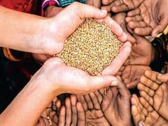 APL-1 રાશન કાર્ડ ધારકોને મફતમાં અનાજ વિતરણનો આજથી પ્રારંભ, જુઓ વીડિયો