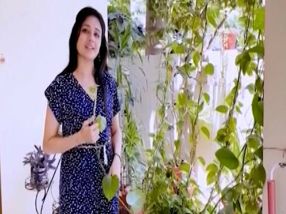 लॉकडाउन में देखिए टीवी की दुनिया की लेटेस्ट और चटपटी खबरें | सास, बहू और साजिश (15.04.2020)