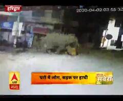घरों में लोग, सड़क पर हाथी,हर की पौड़ी में गजराज
