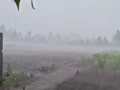 અમરેલી જિલ્લાના કેટલાક વિસ્તારમાં કમોસમી વરસાદ, જુઓ વીડિયો