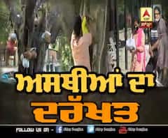 ਅਸਥੀਆਂ ਦਾ ਦਰਖ਼ਤ