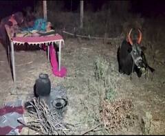 Osmanabad News | कोरोनाच्या भीतीने नागरिकांची शेतात राहण्याला पसंती, वीज नसल्याने अडचणींचा सामना