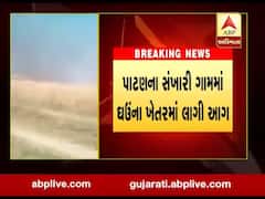 પાટણ: સંખારી ગામમાં ઘઉના ખેતરમાં લાગી આગ, જુઓ વીડિયો