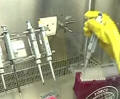 ঠিক কীভাবে হয় করোনা পরীক্ষা, দেখুন ল্যাব থেকে এক্সক্লুসিভ রিপোর্ট