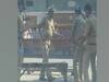 Did two cops have a brawl on the streets? | Sacchai Ka Sensex