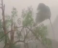 Rural News | माझं गाव माझा जिल्हा | राज्याच्या कानाकोपऱ्यातील बातम्यांचा आढावा 