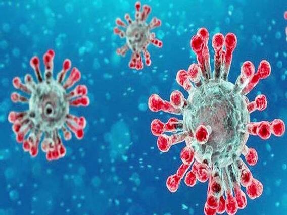 અમેરિકાએ કોરોનાવાયરસની રસીનું કોના પર કર્યું સફળ પરીક્ષણ? જુઓ મોટા સમાચાર