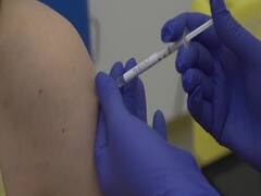 Will the world get Coronavirus vaccine in next 5 months?