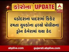 વડોદરા લોકડાઉનઃ પાદરામાં ક્રિકેટ રમતા 8 લોકો સામે પોલીસે કરી અટકાયત, જુઓ વીડિયો