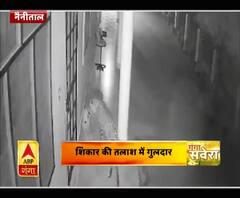 ग्रामीणों में फैली गुलदार की दहशत