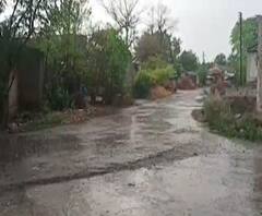 Rural News | नंदुरबार जिल्ह्यात अवकाळी पावसाची हजेरी | माझं गाव माझा जिल्हा