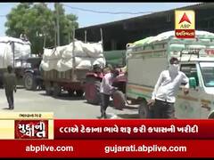 ભાવનગરઃ તળાજા યાર્ડમાં ટેકાના ભાવે શરૂ થઇ કપાસની ખરીદી, જુઓ વીડિયો