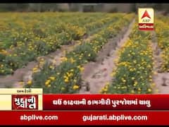 ગુજરાત લોકડાઉનઃ ફૂલ તૈયાર થયા પણ કોઈ લેનાર નથી, જુઓ અમરેલીથી ખાસ અહેવાલ 