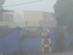 સૌરાષ્ટ્રના અનેક વિસ્તારમાં કમોસમી વરસાદે ખેડૂતોના પાકને કર્યો બરબાદ, જુઓ વીડિયો