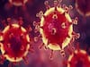 भारत में 24 घंटे में 32 लोगों की मौत, अबतक 5190 मामले सामने आ चुके हैं