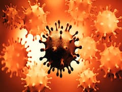 India reports 8356 cases and 273 deaths due to COVID-19