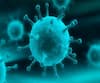 Coronavirus | नागपुरात कोरोनाचे आणखी 2 रुग्ण सापडले; कोरोना रुग्णांची संख्या 56वर