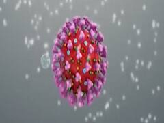 Noida के Chandni Mahal में 52 लोग कोरोना संक्रमित, 3 की मौत