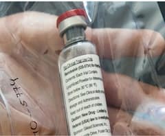 করোনার মোকাবিলায় কাজ করছে ইবোলার ওষুধ? 