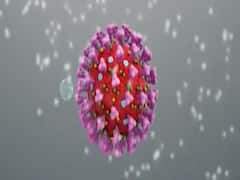 Lockdown: दिल्ली-यूपी के हॉट स्पॉट वाले इलाके सील, देखिए Ground Report