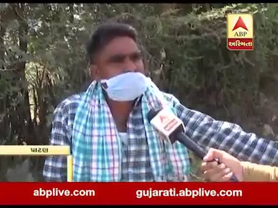 પાટણના માર્કેટિંગ યાર્ડમાં હરાજીનો પ્રારંભ, જુઓ વીડિયો