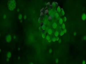 Mumbai being called Corona capital | Master Stroke Full