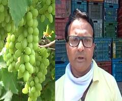 Lockdown Help | निफाडच्या व्यापाऱ्याने मुंबईतील पोलिसांसह आरोग्य कर्मचाऱ्यांसाठी 3 हजार किलो द्राक्षं पाठवली