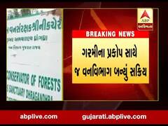 કચ્છના નાના રણમાં વનવિભાગે વન્યજીવો માટે કરી પાણીની વ્યવસ્થા, જુઓ વીડિયો 