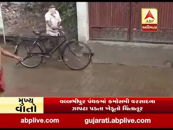 ભાવનગર: વલ્લભીપુર પંથકમાં કમોસમી વરસાદના ઝાપટા પડતા ખેડૂતો ચિંતાતૂર, જુઓ વીડિયો 