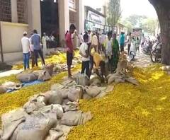 Maharashtra Lockdown | इतिहासात पहिल्यांदाच... कोरोनामुळे सांगलीत हळदीचे लिलाव प्रथमच ऑनलाईन