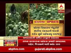 ધોળકા વિસ્તારના ખેડૂતો સ્થાનિક પંચાયતની મદદથી માર્કેટ સુધી પહોંચાડી રહ્યા છે શાકભાજી, જુઓ વીડિયો