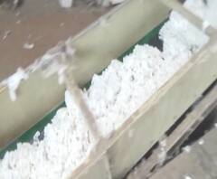 Cotton Selling | लाखो रुपयांचा कापूस विक्रीविना पडून, व्यापाऱ्यांकडून निम्म्या दराने कापसाची खरेदी | स्पेशल रिपोर्ट