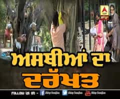 ਚੰਡੀਗੜ 'ਚ ਕਿੱਥੇ ਲੋਕਾਂ ਨੇ ਦਰੱਖਤ ਨਾਲ ਟੰਗਿਆ ਅਸਥੀਆਂ ?