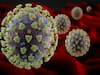 India reports 199 deaths due to coronavirus