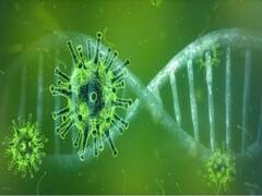 જો લોકડાઉન લાગ્યું ન હોત તો ભારતની સ્થિતિ ઈટલી જેવી થાતઃ ICMR