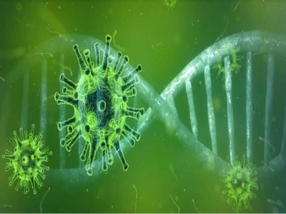 જો લોકડાઉન લાગ્યું ન હોત તો ભારતની સ્થિતિ ઈટલી જેવી થાતઃ ICMR