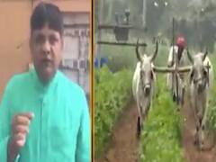 ખેડૂતોને પિયતના નાણાં ભરવાની મુદ્દત વધારવાની માંગ, જુઓ વીડિયો