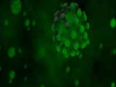 Kanpur: Four arrested for molesting and threatening nurses