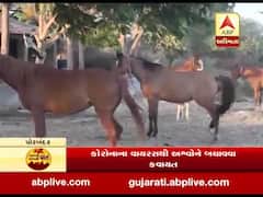 કોરોનાના કહેર વચ્ચે પોરબંદરમાં અશ્વોને કરાયા સેનેટાઇઝ, જુઓ વીડિયો